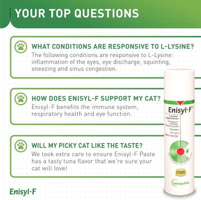 Show full view: Vetoquinol Enisyl-F Paste Immune Supplement for Cats, 100 mL slide 7 of 11