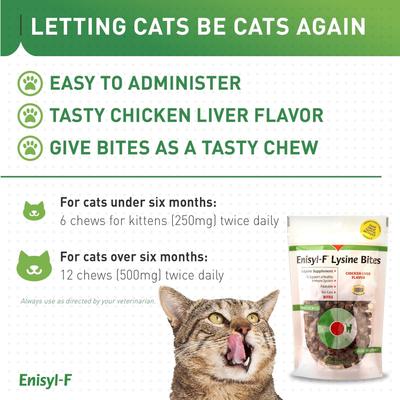 Show full view: Vetoquinol Enisyl-F Lysine Bites Chicken & Liver Flavored Immune Supplement for Cats, 6.35-oz bag slide 6 of 11