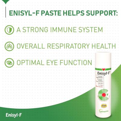 Show full view: Vetoquinol Enisyl-F Paste Immune Supplement for Cats, 100 mL slide 3 of 11