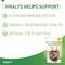 Show in main carousel: Vetoquinol Enisyl-F Lysine Bites Chicken & Liver Flavored Immune Supplement for Cats, 6.35-oz bag slide 5 of 11