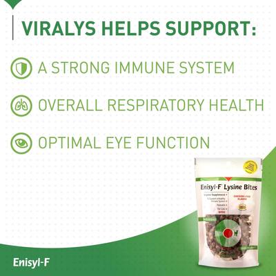 Show full view: Vetoquinol Enisyl-F Lysine Bites Chicken & Liver Flavored Immune Supplement for Cats, 6.35-oz bag slide 5 of 11