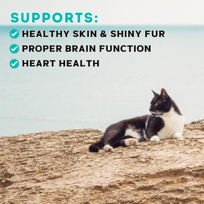 Show full view: Boat to Bowl Pet Food Cod Pate Wet Cat Food, 3.17-oz can, case of 8 slide 4 of 10