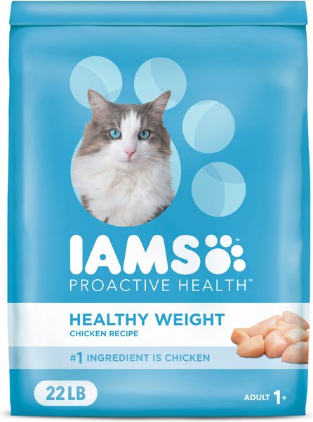 iams cat food 22 lbs