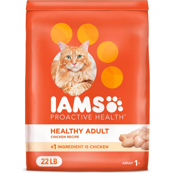 Picture of 10 Best Dry Cat Foods for Sensitive Stomachs 2025: According to Reviews ...