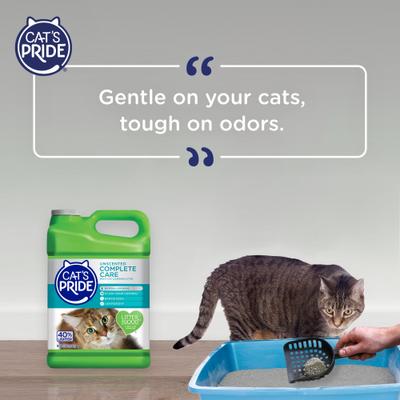 Show full view: Cat's Pride Complete Care Premium Lightweight Multi-Cat Clumping Litter, Unscented, 10-lb jug slide 8 of 11