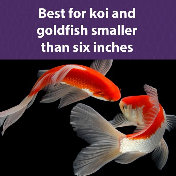 Mazuri Koi Platinum Bits for Fish Under 6 Inches Food