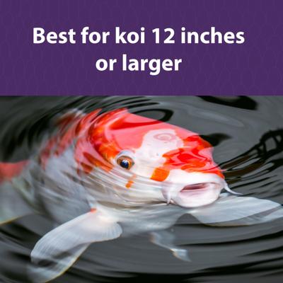 Show full view: Mazuri Koi Platinum Ogata for Fish Over 12 Inches Food, 20-lb bag slide 5 of 9