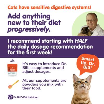 Show full view: Dr. Bill's Pet Nutrition Feline Cognitive Support Cat Supplement Powder, 60-gm pouch slide 10 of 12