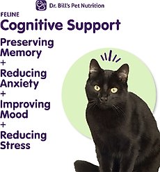 Dr. Bill's Pet Nutrition Feline Cognitive Support Cat Supplement Powder, 60-gm pouch slide 2 of 9