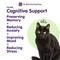 Show in main carousel: Dr. Bill's Pet Nutrition Feline Cognitive Support Cat Supplement Powder, 60-gm pouch slide 3 of 12