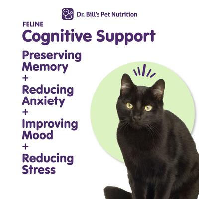 Show full view: Dr. Bill's Pet Nutrition Feline Cognitive Support Cat Supplement Powder, 60-gm pouch slide 3 of 12