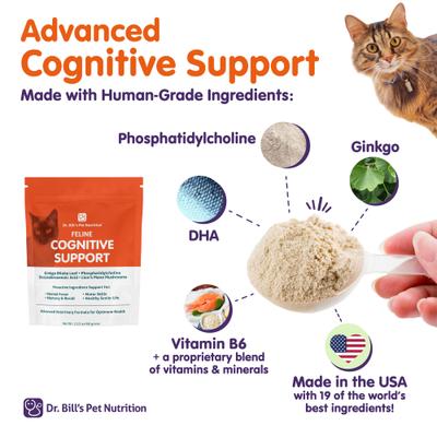 Show full view: Dr. Bill's Pet Nutrition Feline Cognitive Support Cat Supplement Powder, 60-gm pouch slide 5 of 12