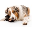 Show in main carousel: Grrreen Black Bear Squeaky Plush Dog Toy, Large slide 3 of 6