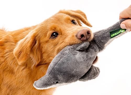 Show full view: Grrreen Dolphin Squeaky Plush Dog Toy, Medium slide 4 of 8