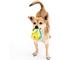 Show in main carousel: Grrreen Mahi Mahi Squeaky Plush Dog Toy, Small slide 3 of 7
