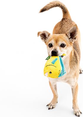 Show full view: Grrreen Mahi Mahi Squeaky Plush Dog Toy, Small slide 3 of 7