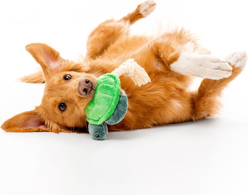 Show full view: Grrreen Rope Turtle Squeaky Plush Dog Toy, Medium slide 3 of 7