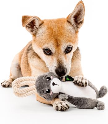 Show full view: Grrreen Arctic Hare with Rope Squeaky Plush Dog Toy, Small slide 3 of 7