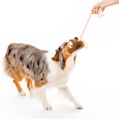 Show full view: Grrreen Sloth with Rope Squeaky Plush Dog Toy, Large slide 3 of 7