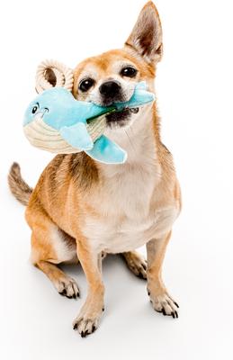 Show full view: Grrreen Rope Whale Squeaky Plush Dog Toy, Small slide 3 of 7