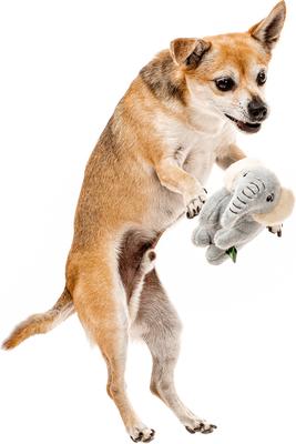 Show full view: Grrreen Elephant Squeaky Plush Dog Toy, Small slide 4 of 8