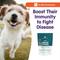 Show in main carousel: Dr. Bill's Pet Nutrition Canine Immune Support Dog Supplement Powder, 180-gm pouch slide 10 of 12