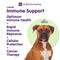 Show in main carousel: Dr. Bill's Pet Nutrition Canine Immune Support Dog Supplement Powder, 180-gm pouch slide 3 of 12