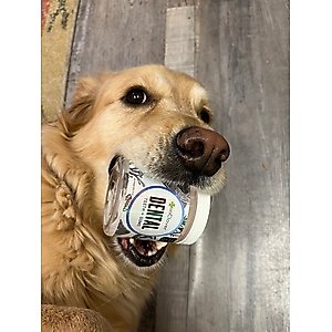 InClover Dental Powder Supplement for Dogs & Cats, 85-gm jar
