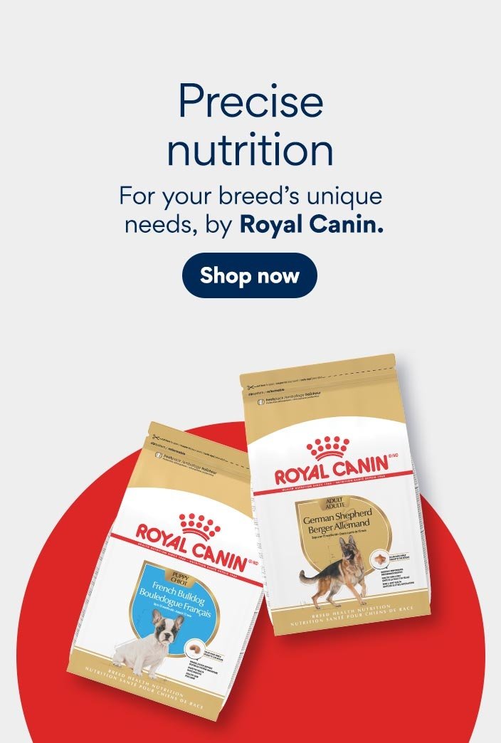 Precise nutrition For your breed's unique needs, by Royal Canin. Shop now.