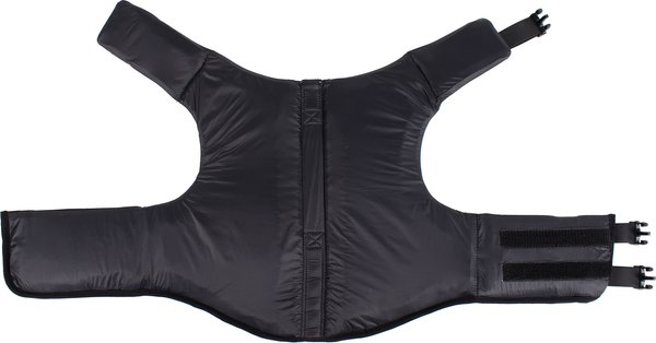 Show full view: Body Glove Neoprene Dog Life Jacket, Teal, Medium slide 6 of 10