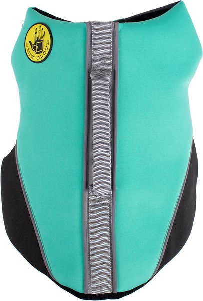 Show full view: Body Glove Neoprene Dog Life Jacket, Teal, Medium slide 3 of 10