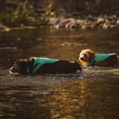 Show full view: Body Glove Neoprene Dog Life Jacket, Teal, X-Large slide 4 of 10