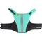 Show in main carousel: Body Glove Neoprene Dog Life Jacket, Teal, Large slide 7 of 10