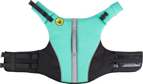 Show full view: Body Glove Neoprene Dog Life Jacket, Teal, Large slide 7 of 10