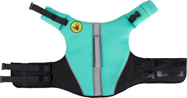 Show full view: Body Glove Neoprene Dog Life Jacket, Teal, Medium slide 5 of 10