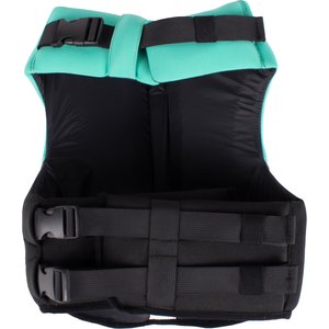 Body Glove Neoprene Dog Life Jacket, Teal, Medium