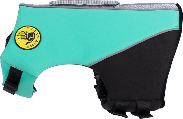 Show full view: Body Glove Neoprene Dog Life Jacket, Teal, Medium slide 2 of 10