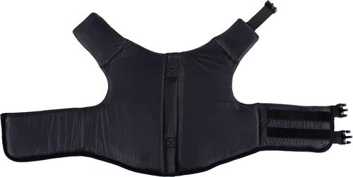 Show full view: Body Glove Neoprene Dog Life Jacket, Teal, Small slide 6 of 10