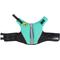 Show in main carousel: Body Glove Neoprene Dog Life Jacket, Teal, Small slide 5 of 10