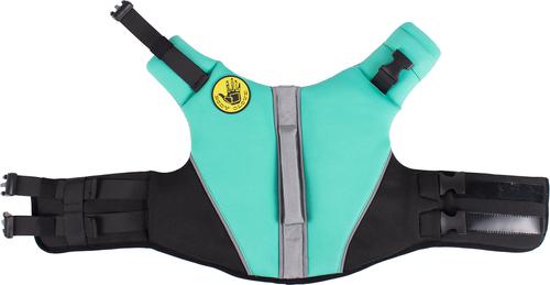 Show full view: Body Glove Neoprene Dog Life Jacket, Teal, Small slide 5 of 10