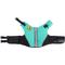 Show in main carousel: Body Glove Neoprene Dog Life Jacket, Teal, X-Small slide 5 of 10