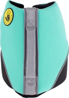 Show full view: Body Glove Neoprene Dog Life Jacket, Teal, X-Small slide 3 of 10