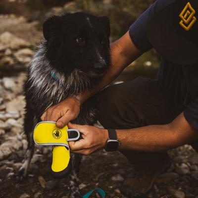 Show full view: Body Glove Paw Protector Booties Dog Boots, Yellow, X-Large slide 5 of 10