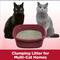 Show in main carousel: Arm & Hammer Litter Clump & Seal Multi-Cat Scented Clumping Clay Cat Litter, 14-lb box slide 5 of 13