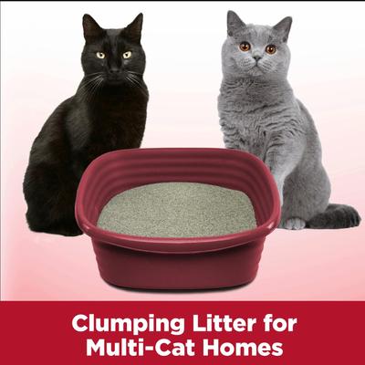 Show full view: Arm & Hammer Litter Clump & Seal Multi-Cat Scented Clumping Clay Cat Litter, 14-lb box slide 5 of 13