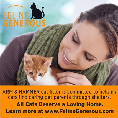 Show full view: Arm & Hammer Litter Clump & Seal Multi-Cat Scented Clumping Clay Cat Litter, 14-lb box slide 8 of 13