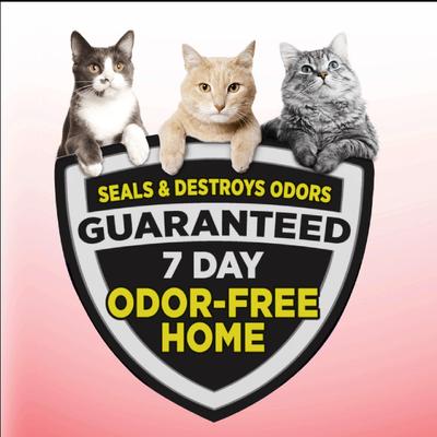 Show full view: Arm & Hammer Litter Clump & Seal Multi-Cat Scented Clumping Clay Cat Litter, 14-lb box slide 3 of 13