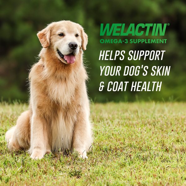 Show full view: Nutramax Welactin Omega-3 Liquid Skin & Coat Supplement for Dogs, 16-fl oz slide 2 of 11