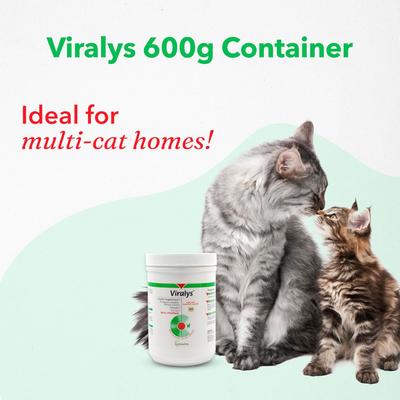 Show full view: Vetoquinol Viralys Powder Immune Supplement for Cats, 21.2-oz slide 6 of 12