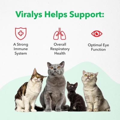 Show full view: Vetoquinol Viralys Powder Immune Supplement for Cats, 21.2-oz slide 8 of 12